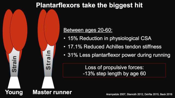 common injuries in the masters runner age group. achilles tendinopathy injuries in the masters runner