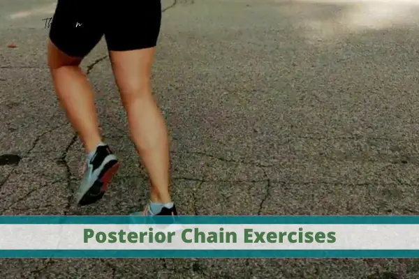 posterior chain exercises for better running